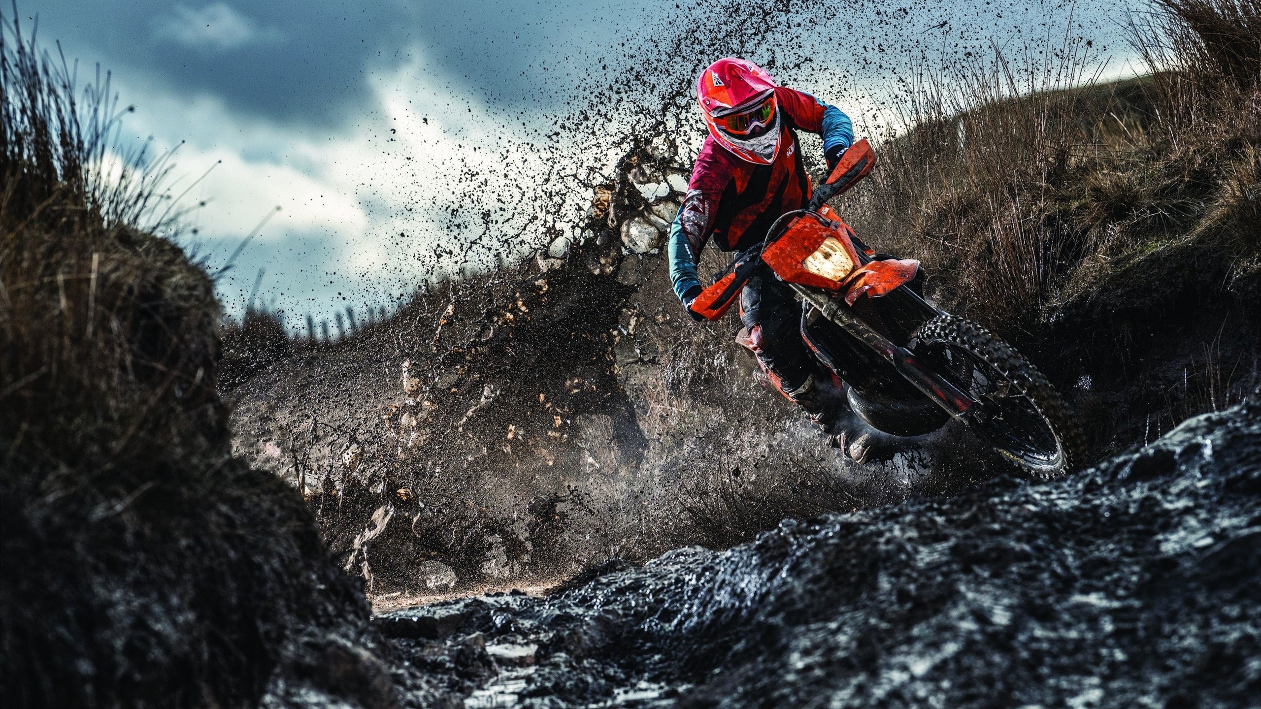 双线叙事,从印第安纳的团队星河,到国际赛场的孤星接管