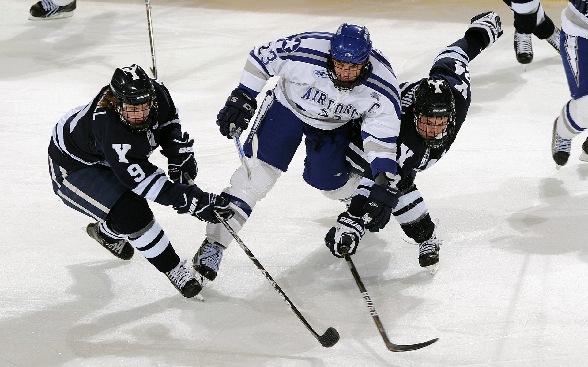 当安联球场遇见字母哥，论跨领域统治力的共同基因